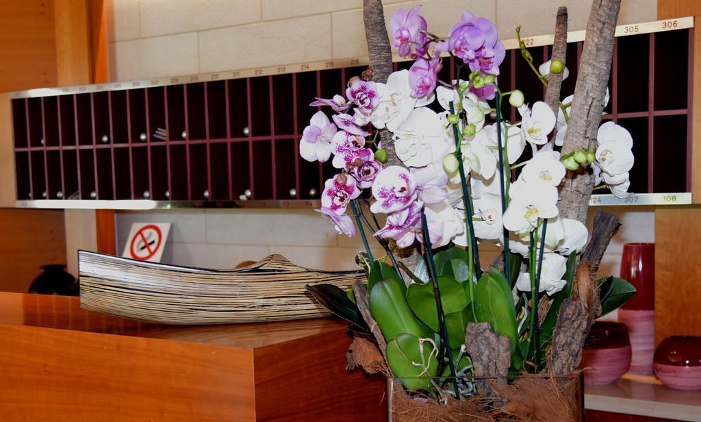 Hotel Giulietta Romeo Λατζίζε Εξωτερικό φωτογραφία